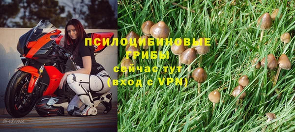 MDMA Алексин