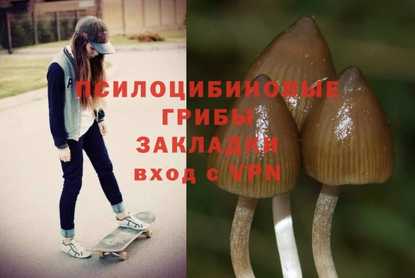 ECSTASY Алексеевка