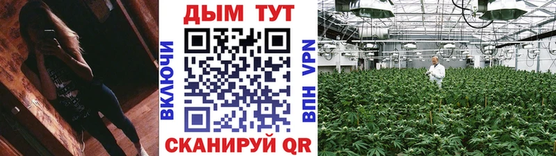 darknet клад Волжский Марихуана SATIVA & INDICA